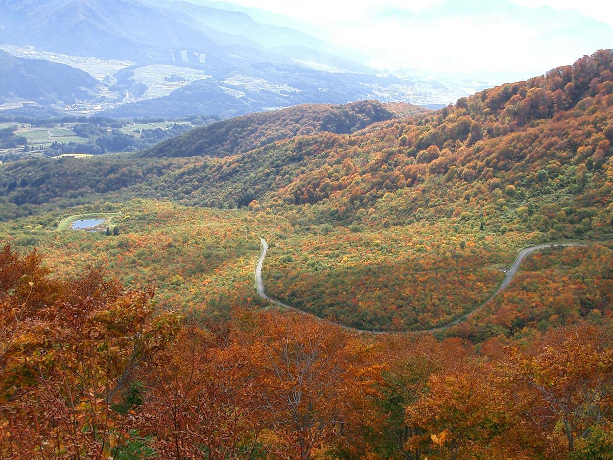 Resort Square Sun Verde 饭山市 客房 照片