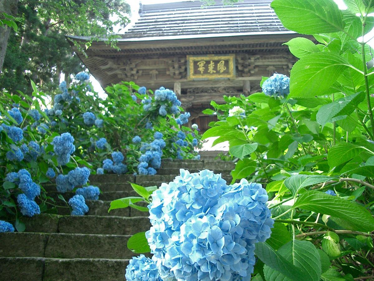 Resort Square Sun Verde 饭山市 客房 照片