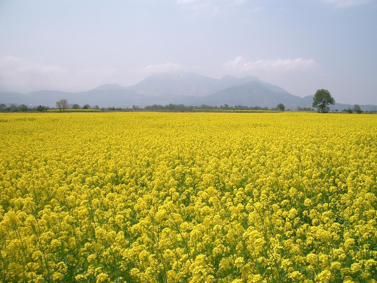 Resort Square Sun Verde 饭山市 客房 照片