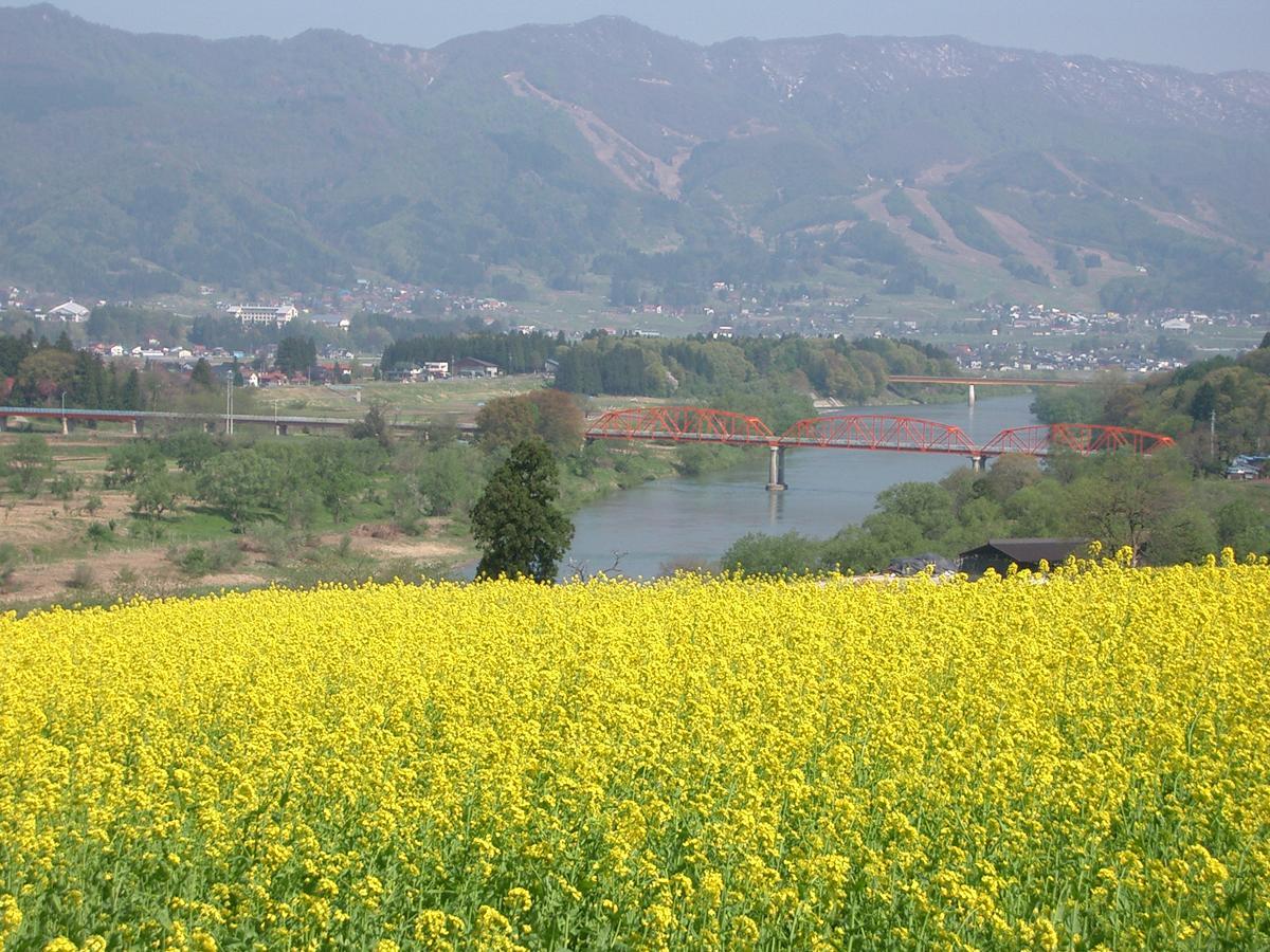 Resort Square Sun Verde 饭山市 客房 照片